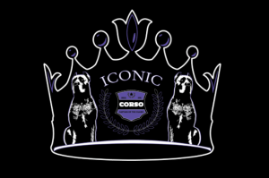 Iconic Corso Logo