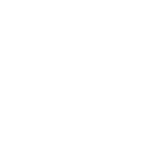 PFD Brand Identity