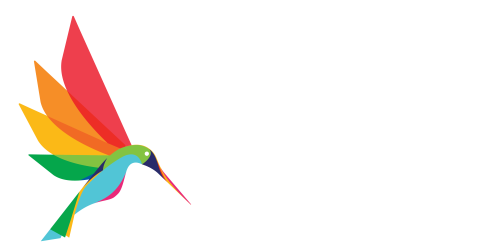 Vuba Brand Identity Example